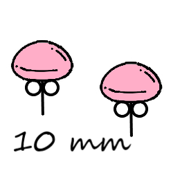 Pecky 10 mm